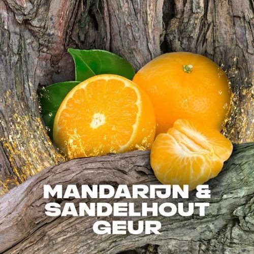 AXE Africa Deodorant Bodyspray - Voordeelverpakking - 6 x 150 ml