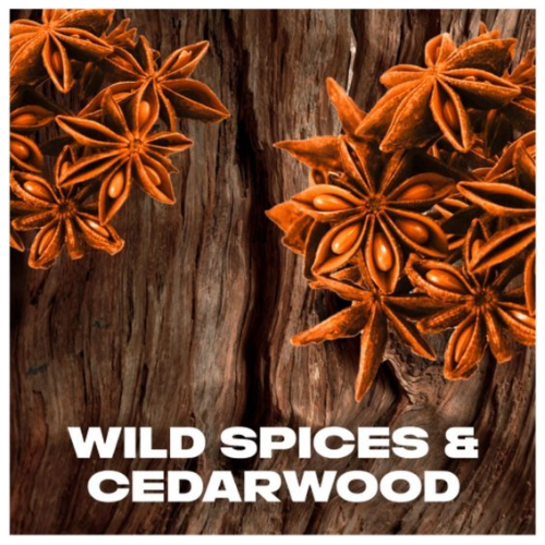 AXE Deo Spray Wild Spice - Voordeelverpakking 6 x 150 ml