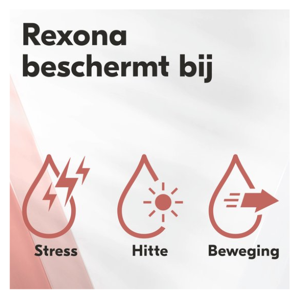 Rexona - Anti-Transpirant Deodorant Stick - Women Maximum Protection - Voordeelverpakking - 12 x 45 ml